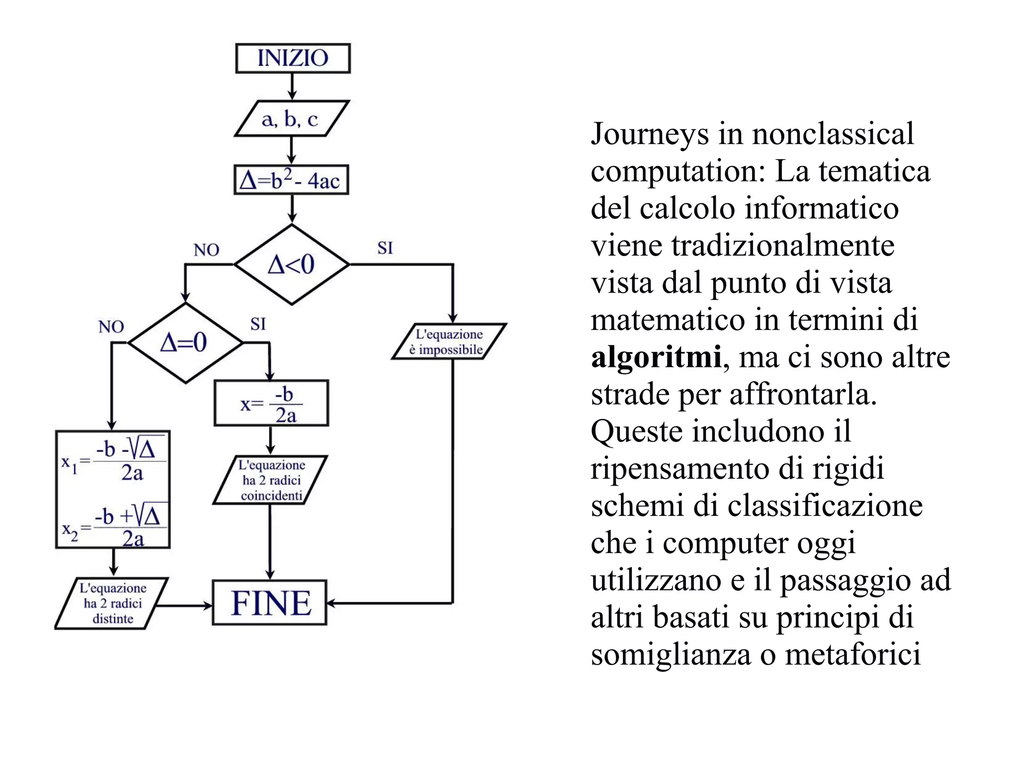 Journeys in nonclassical
computation: La tematica
del calcolo informatico
viene tradizionalmente
vista dal punto di vista
matematico in termini di
algoritmi, ma ci sono altre
strade per affrontarla.
Queste includono il
ripensamento di rigidi
schemi di classificazione
che i computer oggi
utilizzano e il passaggio ad
altri basati su principi di
somiglianza o metaforici
 