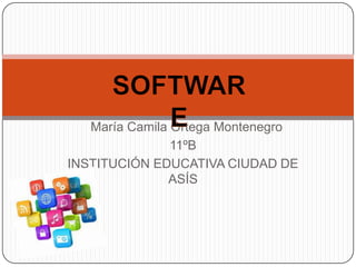 María Camila Ortega Montenegro
                11ºB
INSTITUCIÓN EDUCATIVA CIUDAD DE
               ASÍS
 