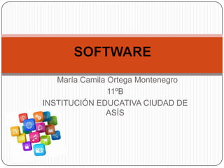 María Camila Ortega Montenegro
                11ºB
INSTITUCIÓN EDUCATIVA CIUDAD DE
               ASÍS
 