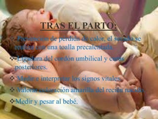 TRAS EL PARTO:
 Prevención de pérdida de calor, el secado se
realiza con una toalla precalentada.
 Ligadura del cordón umbilical y curas
posteriores.
 Medir e interpretar los signos vitales.
 Valorar coloración amarilla del recién nacido.
Medir y pesar al bebé.
 
