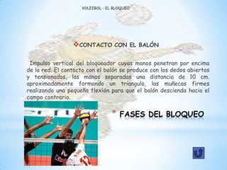 * FASES DEL BLOQUEO
CONTACTO CON EL BALÓN
Impulso vertical del bloqueador cuyas manos penetran por encima
de la red. El contacto con el balón se produce con los dedos abiertos
y tensionados, las manos separadas una distancia de 10 cm.
aproximadamente formando un triangulo, las muñecas firmes
realizando una pequeña flexión para que el balón descienda hacia el
campo contrario.
VOLEIBOL - EL BLOQUEO
 