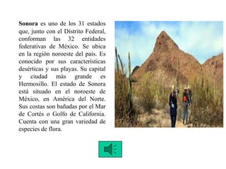 Sonora es uno de los 31 estados
que, junto con el Distrito Federal,
conforman las 32 entidades
federativas de México. Se ubica
en la región noroeste del país. Es
conocido por sus características
desérticas y sus playas. Su capital
y ciudad más grande es
Hermosillo. El estado de Sonora
está situado en el noroeste de
México, en América del Norte.
Sus costas son bañadas por el Mar
de Cortés o Golfo de California.
Cuenta con una gran variedad de
especies de flora.
 