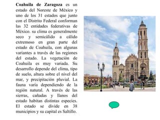 Coahuila de Zaragoza es un
estado del Noreste de México y
uno de los 31 estados que junto
con el Distrito Federal conforman
las 32 entidades federativas de
México. su clima es generalmente
seco y semicálido a cálido
extremoso en gran parte del
estado de Coahuila, con algunas
variantes a través de las regiones
del estado. La vegetación de
Coahuila es muy variada. Su
desarrollo depende del clima, tipo
de suelo, altura sobre el nivel del
mar, y precipitación pluvial. La
fauna varía dependiendo de la
región natural. A través de las
sierras, cañadas y llanos del
estado habitan distintas especies.
El estado se divide en 38
municipios y su capital es Saltillo.
 