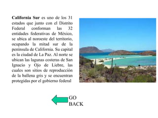 California Sur es uno de los 31
estados que junto con el Distrito
Federal conforman las 32
entidades federativas de México,
se ubica al noroeste del territorio,
ocupando la mitad sur de la
península de California. Su capital
es la ciudad de La Paz. Al norte se
ubican las lagunas costeras de San
Ignacio y Ojo de Liebre, las
cuales son sitios de reproducción
de la ballena gris y se encuentran
protegidas por el gobierno federal
GO
BACK
 