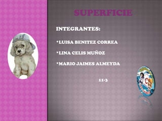 SUPERFICIE
INTEGRANTES:
*LUISA BENITEZ CORREA
*LINA CELIS MUÑOZ
*MARIO JAIMES ALMEYDA
11-3

 
