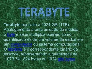 Terabyte equivale a 1024 GB (1TB).
Analogamente a uma unidade de medida,
o byte e seus múltiplos operam como
quantificadores de um volume de dados em
um computador ou sistema computacional.
O tebibyte é o correspondente binário do
terabyte, representando a quantidade de
1.073.741.824 bytes ou 1024 gibi bytes.
 