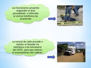 Los funcionarios actuantes 
resguardan el área 
procediendo a infórmale 
al central telefónica los 
acontecido 
La central de radio procede a 
realizar el llamado vía 
telefónica a los funcionario 
del CICPC, para que realicen 
el levantamiento del cadáver. 
 