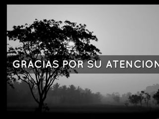 TEGNOLOGIAS EMERGENTES