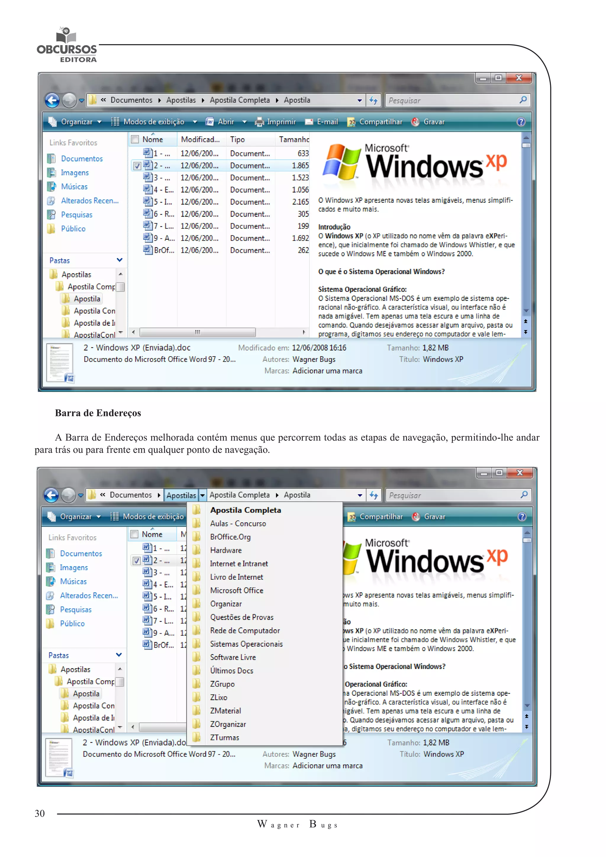 30 
W a g n e r B u g s 
U 
Barra de Endereços 
A Barra de Endereços melhorada contém menus que percorrem todas as etapas de navegação, permitindo-lhe andar 
para trás ou para frente em qualquer ponto de navegação. 
 