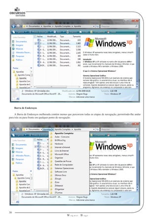 30 
W a g n e r B u g s 
U 
Barra de Endereços 
A Barra de Endereços melhorada contém menus que percorrem todas as etapas de navegação, permitindo-lhe andar 
para trás ou para frente em qualquer ponto de navegação. 
 
