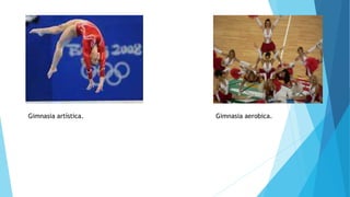 Gimnasia artística. Gimnasia aerobica. 
 
