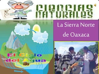 La Sierra Norte 
de Oaxaca 
 