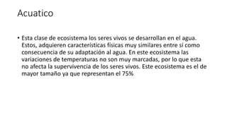 Acuatico
• Esta clase de ecosistema los seres vivos se desarrollan en el agua.
Estos, adquieren características físicas muy similares entre sí como
consecuencia de su adaptación al agua. En este ecosistema las
variaciones de temperaturas no son muy marcadas, por lo que esta
no afecta la supervivencia de los seres vivos. Este ecosistema es el de
mayor tamaño ya que representan el 75%
 