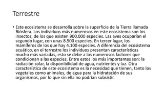 Terrestre
• Este ecosistema se desarrolla sobre la superficie de la Tierra llamada
Biósfera. Los individuos más numerosos en este ecosistema son los
insectos, de los que existen 900.000 especies. Las aves ocuparían el
segundo lugar, con unas 8.500 especies. En tercer lugar, los
mamíferos de los que hay 4.100 especies. A diferencia del ecosistema
acuático, en el terrestre los individuos presentan características
mucho más variadas, esto se debe a los numerosos factores que
condicionan a las especies. Entre estos los más importantes son: la
radiación solar, la disponibilidad de agua, nutrientes y luz. Otra
característica de este ecosistema es la necesidad que tienen, tanto los
vegetales como animales, de agua para la hidratación de sus
organismos, por lo que sin ella no podrían subsistir.
 