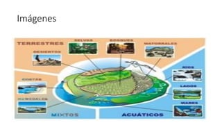 Imágenes
 