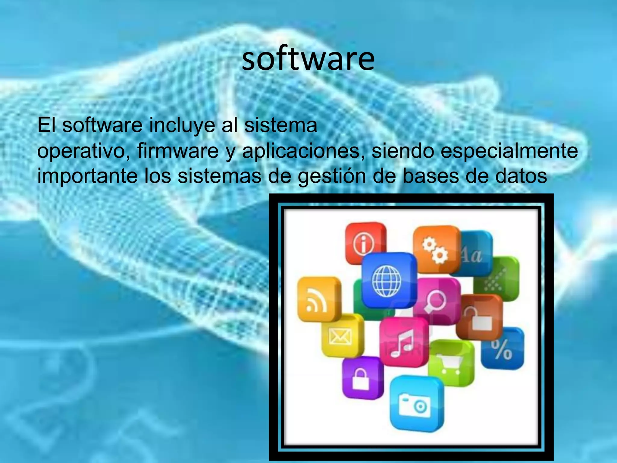 software
El software incluye al sistema
operativo, firmware y aplicaciones, siendo especialmente
importante los sistemas de gestión de bases de datos
 