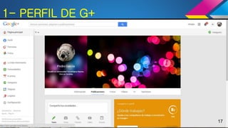 1- PERFIL DE G+
17
 