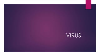 VIRUS
 
