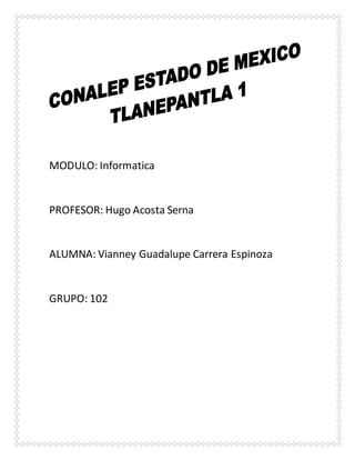 MODULO: Informatica
PROFESOR: Hugo Acosta Serna
ALUMNA: Vianney Guadalupe Carrera Espinoza
GRUPO: 102
 