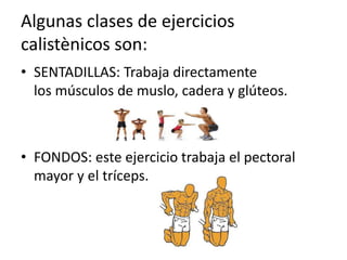 Algunas clases de ejercicios
calistènicos son:
• SENTADILLAS: Trabaja directamente
los músculos de muslo, cadera y glúteos.
• FONDOS: este ejercicio trabaja el pectoral
mayor y el tríceps.
 