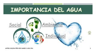 ASTRID CAOLINA PEÑA RICO MARZO 16 DEL 2016 3
Social
Individual
Ambiental
 