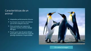 Clic sobre la imagen
 