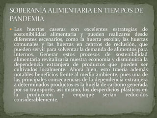  Las huertas caseras son excelentes estrategias de
sostenibilidad alimentaria y pueden realizarse desde
diferentes escenarios, como la huerta escolar, las huertas
comunales y las huertas en centros de reclusión, que
pueden servir para solventar la demanda de alimentos para
internos. Generar estos procesos de sostenibilidad
alimentaria revitalizaría nuestra economía y disminuiría la
dependencia extranjera de productos que pueden ser
cultivados localmente. Ahora bien, esto traería además
notables beneficios frente al medio ambiente, pues una de
las principales consecuencias de la dependencia extranjera
a determinados productos es la huella de carbono generada
por su transporte, así mismo, los desperdicios plásticos en
la producción y empaque serían reducidos
considerablemente.
 