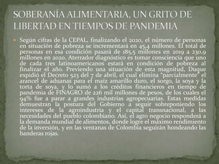  Según cifras de la CEPAL, finalizando el 2020, el número de personas
en situación de pobreza se incrementará en 45,4 millones. El total de
personas en esa condición pasará de 185,5 millones en 2019 a 230,9
millones en 2020. Aterrador diagnóstico es tomar consciencia que uno
de cada tres latinoamericanos estará en condición de pobreza al
finalizar el año. Previendo una situación de esta magnitud, Duque
expidió el Decreto 523 del 7 de abril, el cual elimina “parcialmente” el
arancel de aduanas para el maíz amarillo duro, el sorgo, la soya y la
torta de soya, y lo sumó a los créditos financieros en tiempo de
pandemia de FINAGRO de 226 mil millones de pesos, de los cuales el
94% fue a parar a grandes industrias agropecuarias. Estas medidas
demuestran la postura del Gobierno a seguir sobreponiendo los
intereses de la agroindustria y el capital transnacional, a las
necesidades del pueblo colombiano. Así, el agro negocio responderá a
la demanda mundial de alimentos, donde logre el máximo rendimiento
de la inversión, y en las ventanas de Colombia seguirán hondeando las
banderas rojas.
 