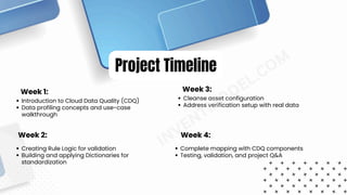 Informatica CDQ Project Plan – Real-World Training Workflow | PDF