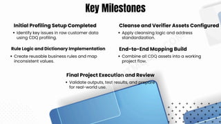 Informatica CDQ Project Plan – Real-World Training Workflow | PDF