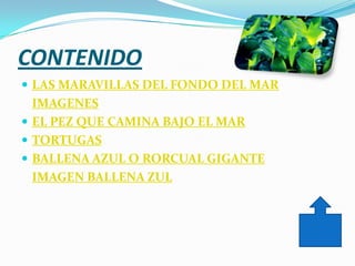 CONTENIDO
 LAS MARAVILLAS DEL FONDO DEL MAR
  IMAGENES
 EL PEZ QUE CAMINA BAJO EL MAR
 TORTUGAS
 BALLENA AZUL O RORCUAL GIGANTE
  IMAGEN BALLENA ZUL
 