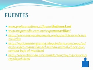 FUENTES
 www.profesorenlinea.cl/fauna/BallenaAzul
 www.megamedia.com.mx/expomaravillas/
 http://www.answersingenesis.org/sp/articles/cm/v21/n
  2/turtles
 http://noticiasinteresantes.blogcindario.com/2009/01/
  01374-video-maravillas-del-mundo-animal-el-pez-que-
  camina-bajo-el-mar.html
 http://www.elmundo.es/elmundo/2007/04/05/ciencia/1
  175782928.html
 