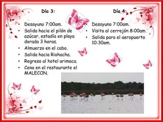 Alimentación completa desde el 1º día hasta el ultimo.