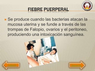 FIEBRE PUERPERAL
 Se produce cuando las bacterias atacan la
mucosa uterina y se funde a través de las
trompas de Falopio, ovarios y el peritoneo,
produciendo una intoxicación sanguínea.
Siguiente
 