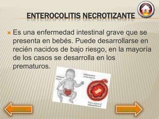 ENTEROCOLITIS NECROTIZANTE
 Es una enfermedad intestinal grave que se
presenta en bebés. Puede desarrollarse en
recién nacidos de bajo riesgo, en la mayoría
de los casos se desarrolla en los
prematuros.
Siguiente
 