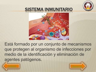 SISTEMA INMUNITARIO
Está formado por un conjunto de mecanismos
que protegen al organismo de infecciones por
medio de la identificación y eliminación de
agentes patógenos.
Siguiente
 