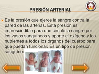 PRESIÓN ARTERIAL
 Es la presión que ejerce la sangre contra la
pared de las arterias. Esta presión es
imprescindible para que circule la sangre por
los vasos sanguíneos y aporte el oxígeno y los
nutrientes a todos los órganos del cuerpo para
que puedan funcionar. Es un tipo de presión
sanguínea.
Siguiente
 