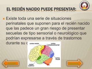 EL RECIÉN NACIDO PUEDE PRESENTAR:
 Existe toda una serie de situaciones
perinatales que suponen para el recién nacido
que las padece un gran riesgo de presentar
secuelas de tipo sensorial o neurológico que
podrían expresarse a través de trastornos
durante su desarrollo.
Siguiente
 