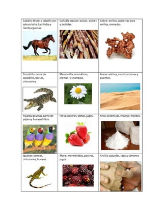 Caballo:Bistecacaballocon
salsacriolla,Salchichay
Hamburguesas.
Caña De Azúcar:azúcar, dulces
y bebidas.
Cobre:anillos,cubiertaspara
anillos,monedas.
Cocodrilo:carne de
cocodrilo,bolsos,
cinturones.
Manzanilla:aromáticas,
cremas y shampoo.
Arena:vidrios,construccionesy
puentes.
Pájaros:plumas,carne de
pájaroy huevos fritos.
Fresa:postres,tortas,jugos. Yeso:cerámicas,resanar,moldes.
Iguanas:correas,
cinturones,huevos.
Mora: mermeladas,postres,
jugos.
Arcilla:cazuelas,tazasyjarrones
 