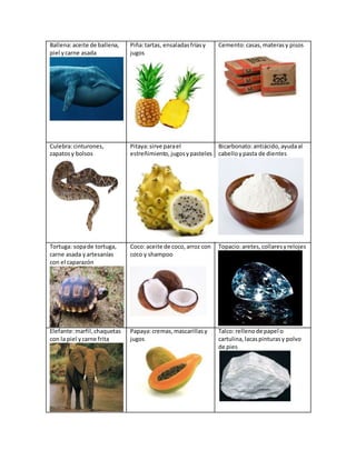 Ballena:aceite de ballena,
piel ycarne asada
Piña:tartas, ensaladasfríasy
jugos
Cemento:casas,materasy pisos
Culebra:cinturones,
zapatosy bolsos
Pitaya:sirve parael
estreñimiento, jugosypasteles
Bicarbonato:antiácido, ayudaal
cabelloypasta de dientes
Tortuga: sopade tortuga,
carne asada yartesanías
con el caparazón
Coco: aceite de coco, arroz con
coco y shampoo
Topacio:aretes,collaresyrelojes
Elefante:marfil,chaquetas
con la piel ycarne frita
Papaya:cremas,mascarillasy
jugos
Talco: rellenode papel o
cartulina,lacaspinturasy polvo
de pies
 