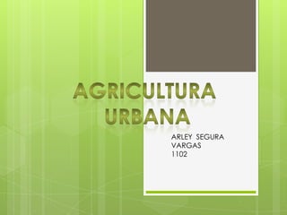 ARLEY SEGURA
VARGAS
1102
 