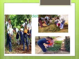 Pero todos debemos ayudar
 