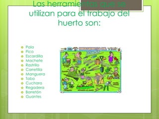 Las herramientas que se
     utilizan para el trabajo del
              huerto son:

   Pala
   Pico
   Escardilla
   Machete
   Rastrillo
   Carretilla
   Manguera
   Tobo
   Cuchara
   Regadera
   Barretón
   Guantes
 