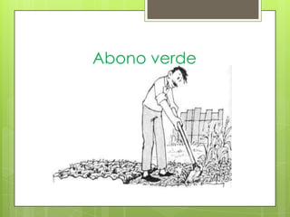 Abono verde
 