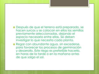    Después de que el terreno está preparado, se
    hacen surcos y se colocan en ellos las semillas
    previamente seleccionadas, dejando el
    espacio necesario entre ellas. Se deben
    investigar lo que necesita cada planta.
   Regar con abundante agua, sin excederse,
    para favorecer los procesos de germinación
    y desarrollo. Este riego es preferible hacerlo,
    en horas de la tarde o en la mañana antes
    de que salga el sol.
 