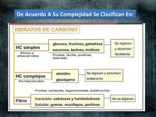 De Acuerdo A Su Complejidad Se Clasifican En:
 