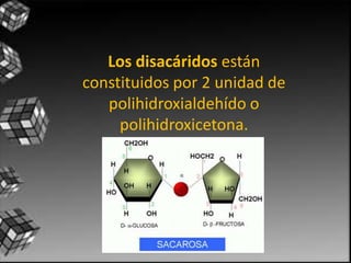 Los disacáridos están
constituidos por 2 unidad de
polihidroxialdehído o
polihidroxicetona.
 