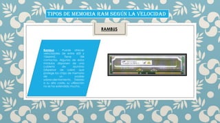 TIPOS DE MEMORIA RAM SEGÚN LA VELOCIDAD
RAMBUS

Rambus : Puede ofrecer
velocidades de entre 600 y
1066MHZ.
Tiene
184
contactos. Algunos de estos
módulos disponen de una
cubierta
de
aluminio
(dispersor de calor) que
protege los chips de memoria
de
un
posible
sobrecalentamiento. Debído
a su alto coste, su utilización
no se ha extendido mucho.

 
