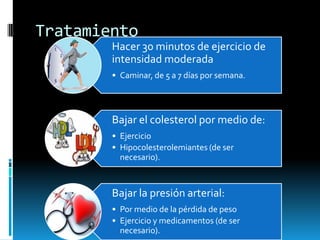 Tratamiento
Hacer 30 minutos de ejercicio de
intensidad moderada
• Caminar, de 5 a 7 días por semana.

Bajar el colesterol por medio de:
• Ejercicio
• Hipocolesterolemiantes (de ser
necesario).

Bajar la presión arterial:
• Por medio de la pérdida de peso
• Ejercicio y medicamentos (de ser
necesario).

 