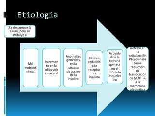 Etiología
Se desconoce la
causa, pero se
atribuye a:

Mal
nutrició
n fetal.

Incremen
to en la
adiposida
d visceral

Anomalías
genéticas
en la
cascada
de acción
de la
insulina

Niveles
reducido
s de
receptor
es
insulina

Activida
d de la
tirosina
quinasa
en el
músculo
esquelét
ico

Defecto en
la
señalización
PI-3 quinasa
causa
reducción
de
traslocación
de GLUT -4
a la
membrana
plasmática

 